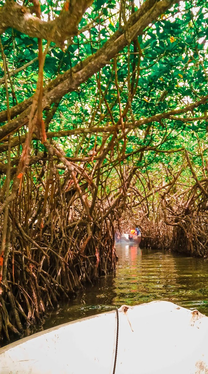 madu ganga river safari